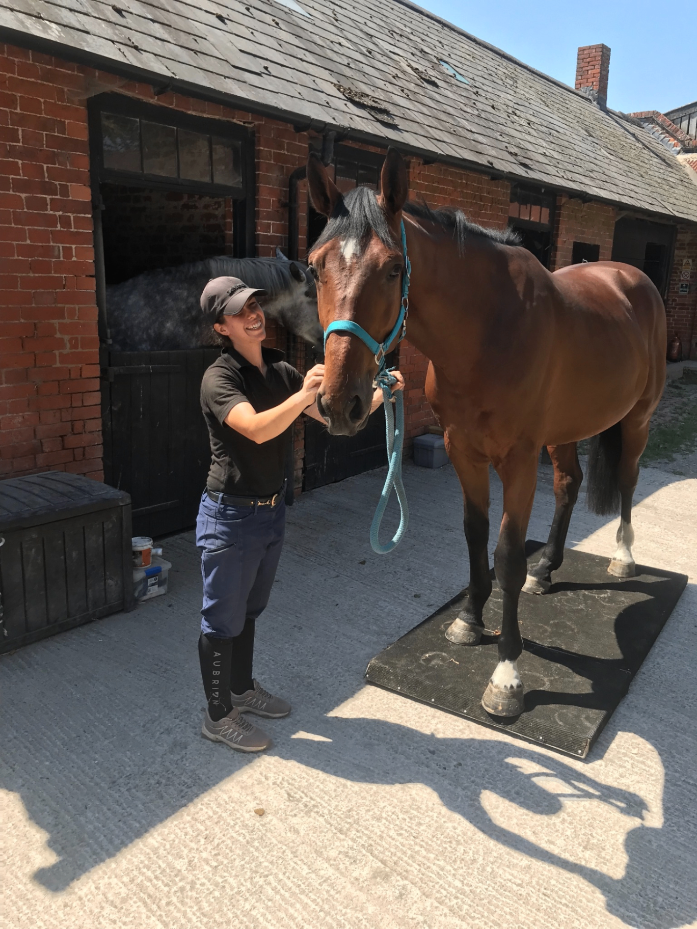 Bianca greeting a bay horse on the yard in summer sunshine