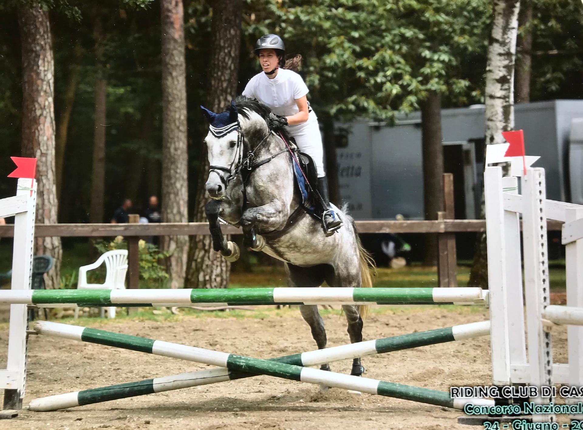 Horse Schooling
