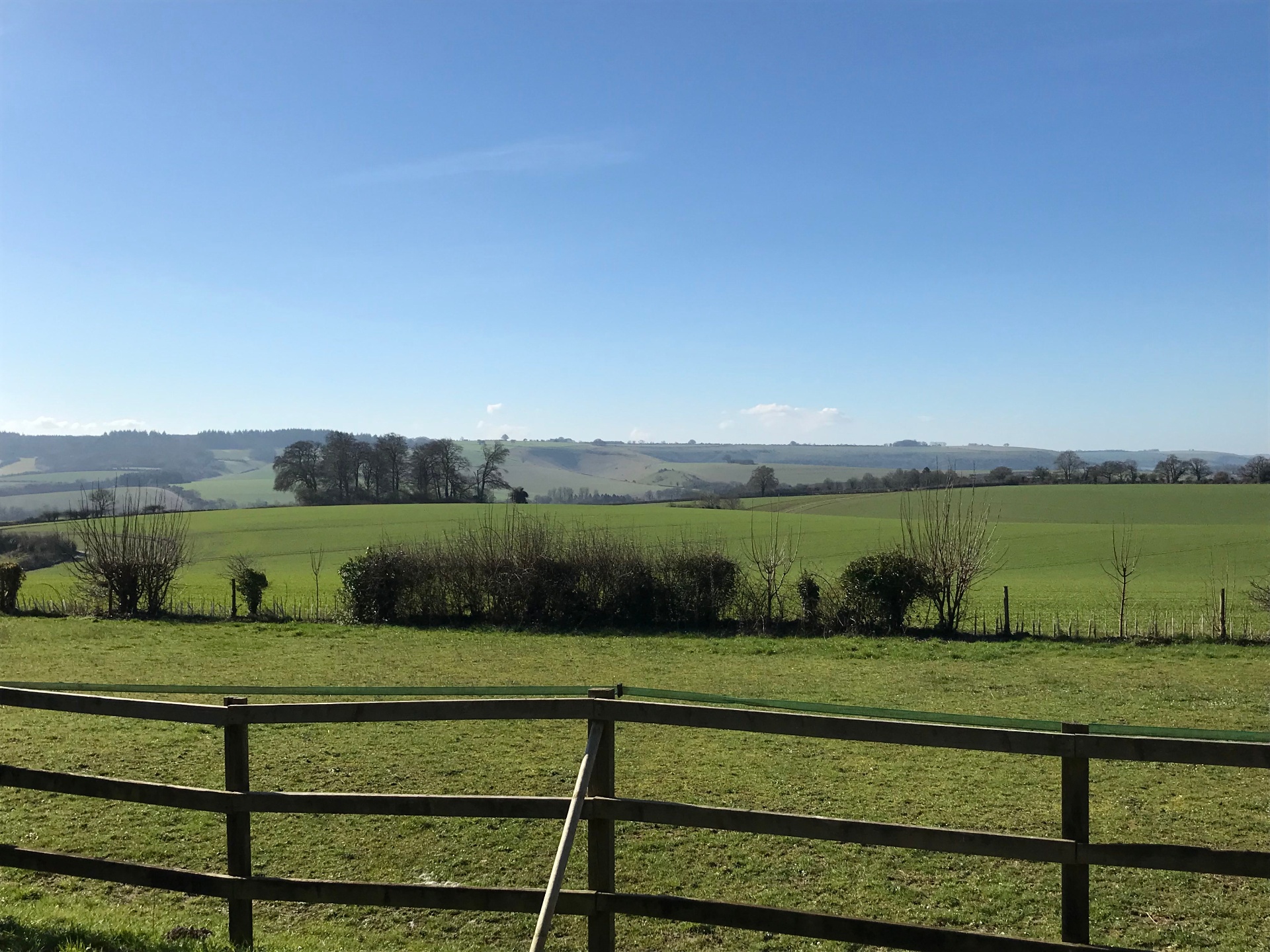 Surrounding Wiltshire countryside views