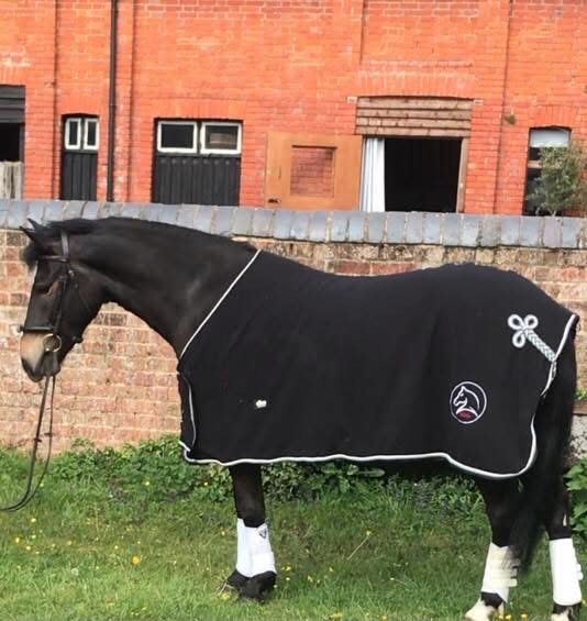 Black horse in a BMH branded rug outside the stables