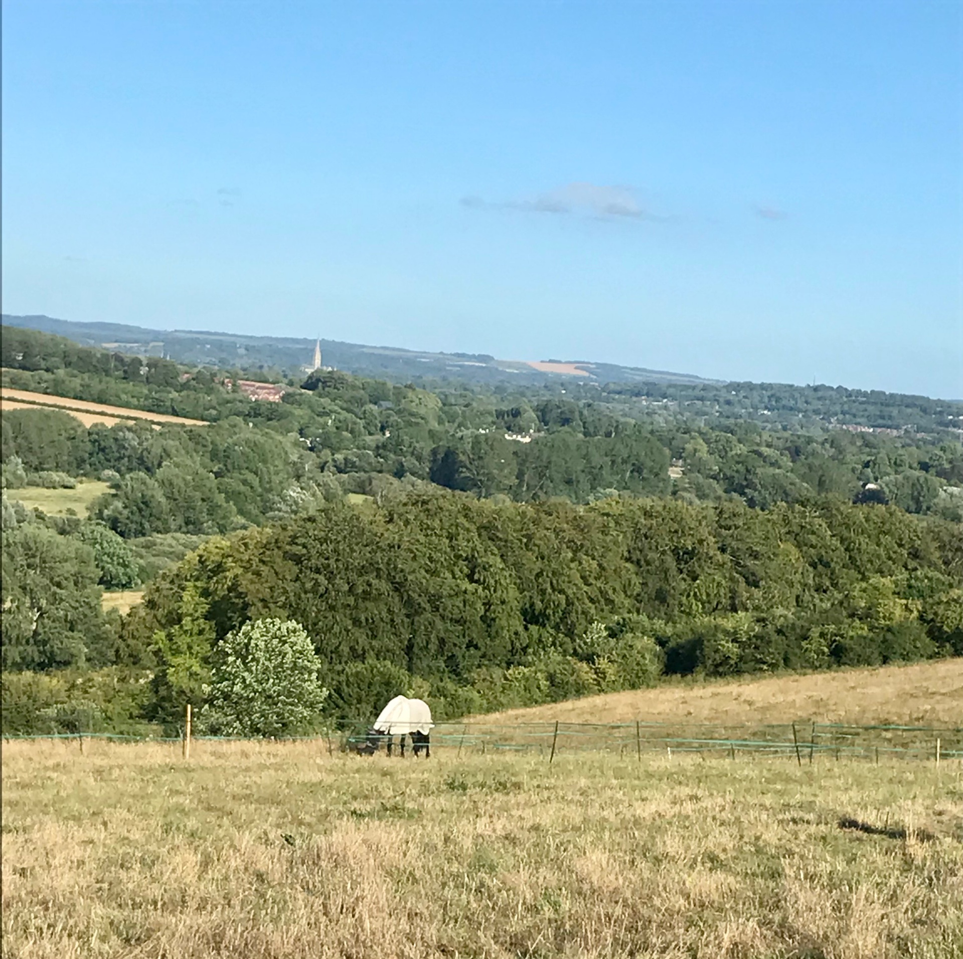 Sweeping views over the Wiltshire countryside from the yard